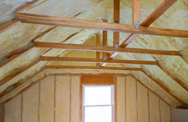 Best Insulation Maintenance and Repair in Lake Kiowa, TX