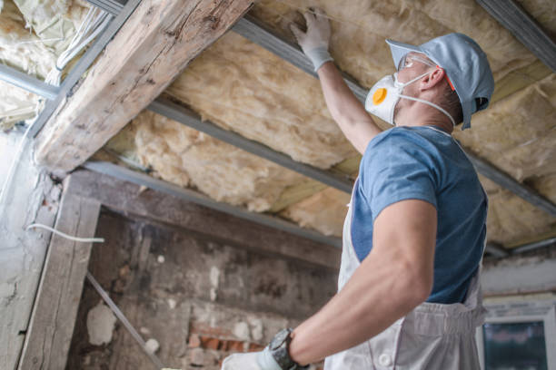 Best Eco-Friendly Insulation in Lake Kiowa, TX