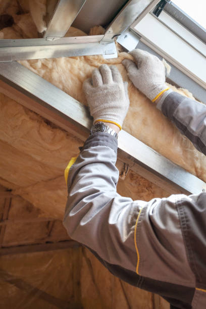 Best Spray Foam Insulation in Lake Kiowa, TX