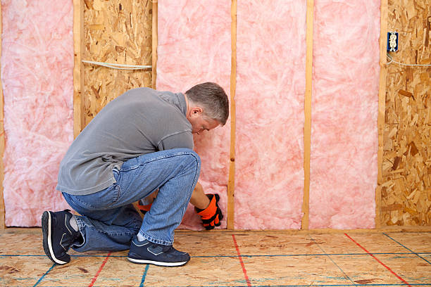 Best Cellulose Insulation in Lake Kiowa, TX