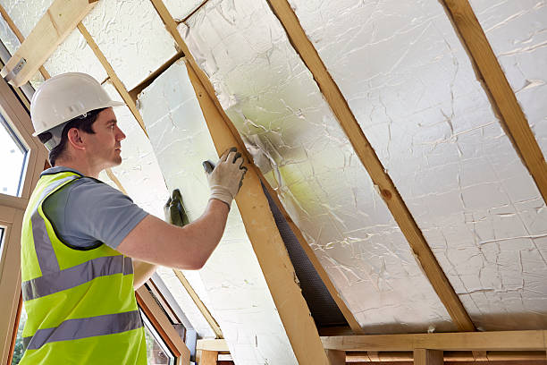 Best Residential Insulation in Lake Kiowa, TX